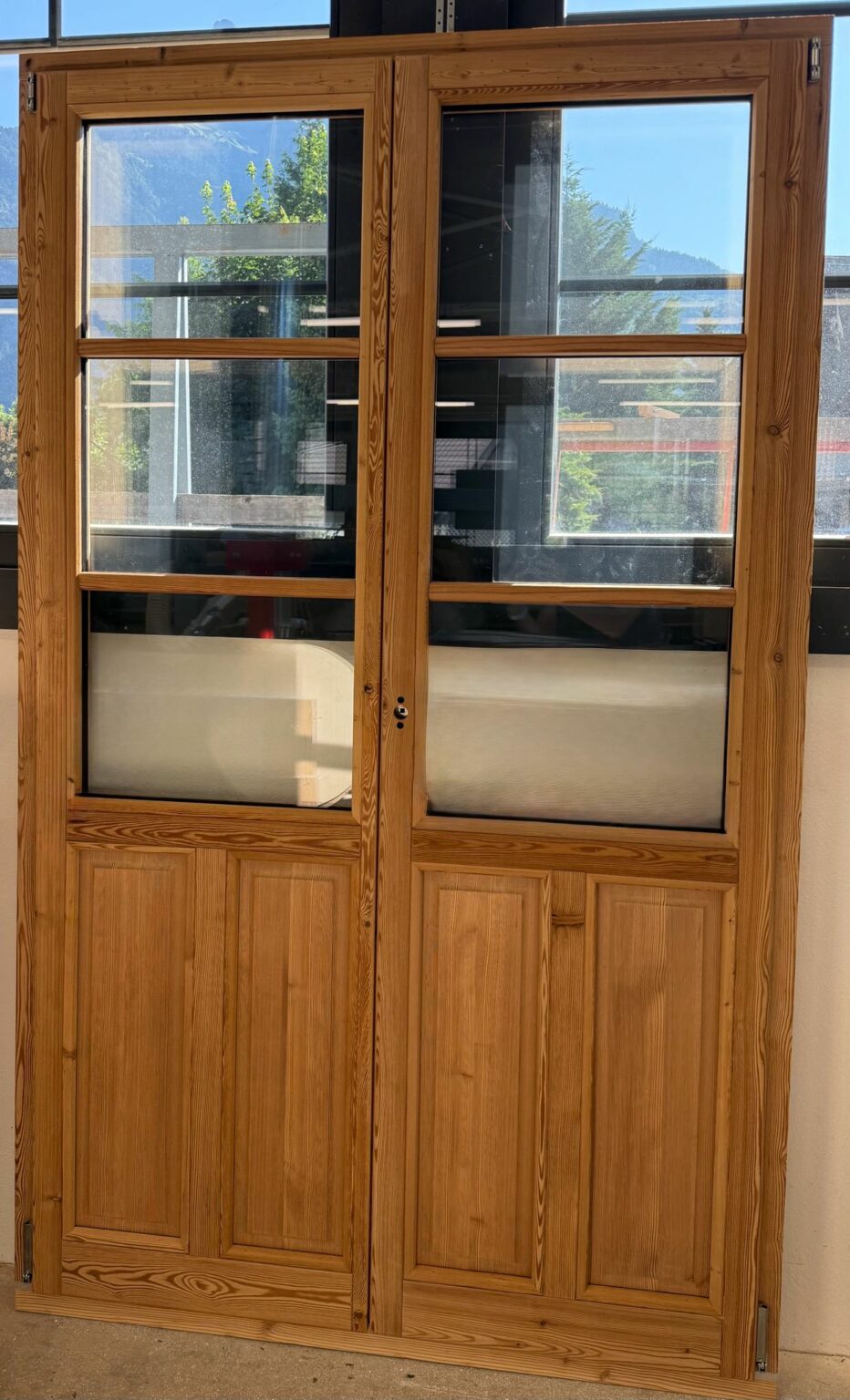 porte commande spéciale petits bois collés